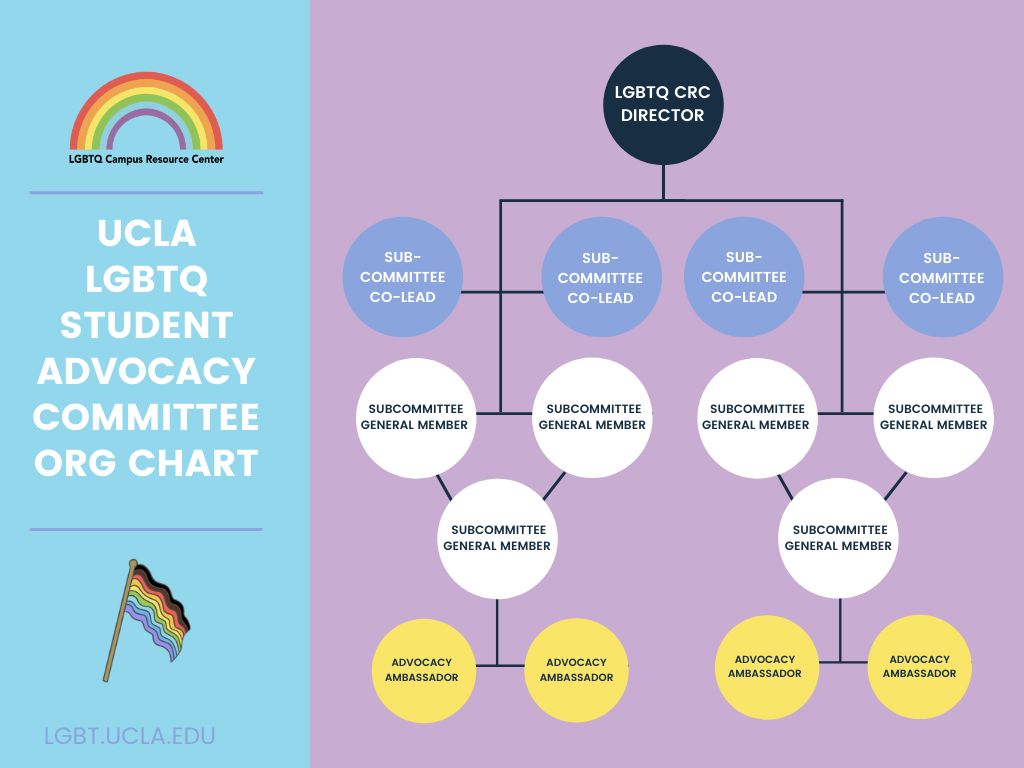 Advocacy Committee Org Chart