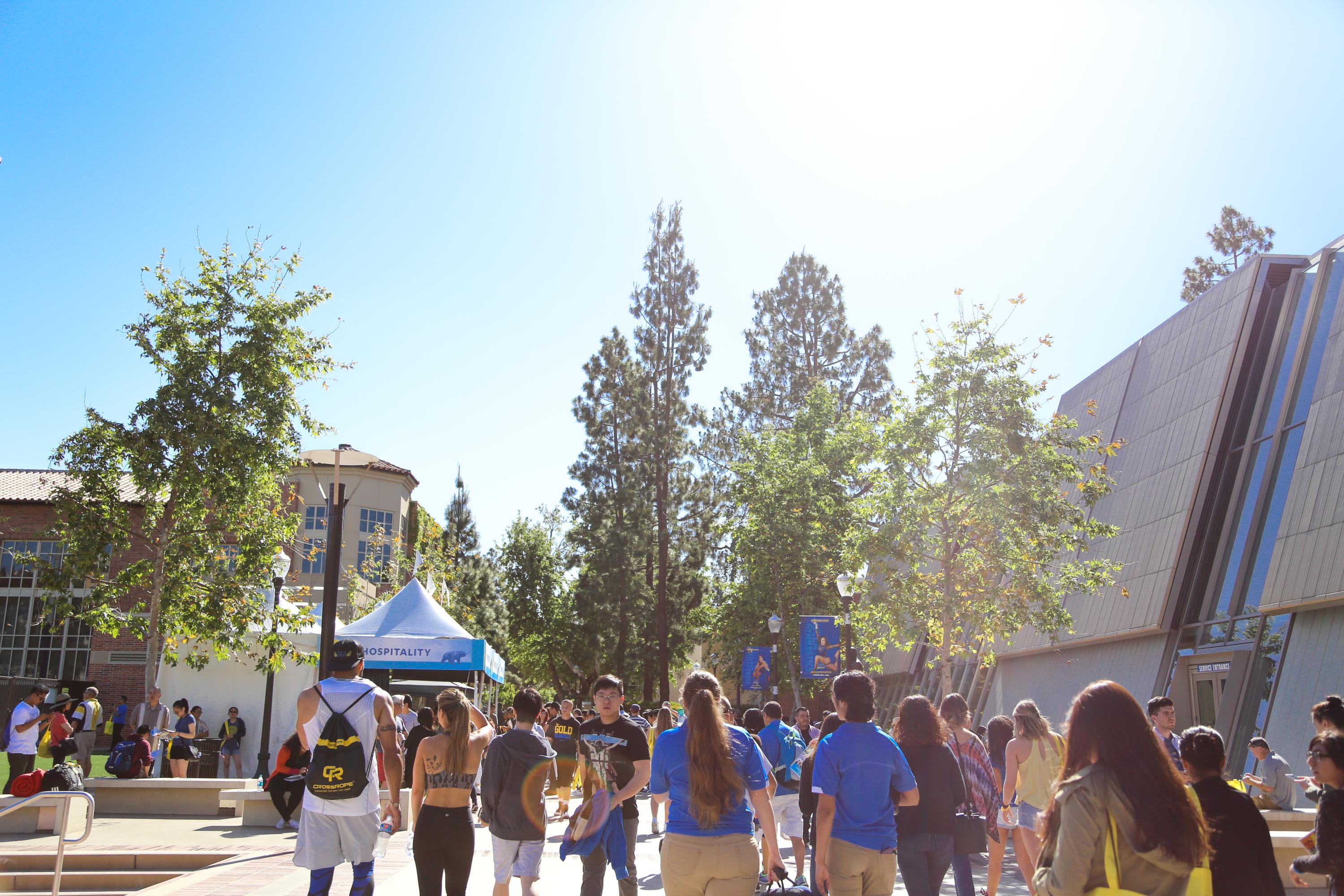 A photo of campus community members walking down Bruin Walk between the Arthur Ashe Center and Pauley Pavilion, with tall trees in the center beneath a shining sun.