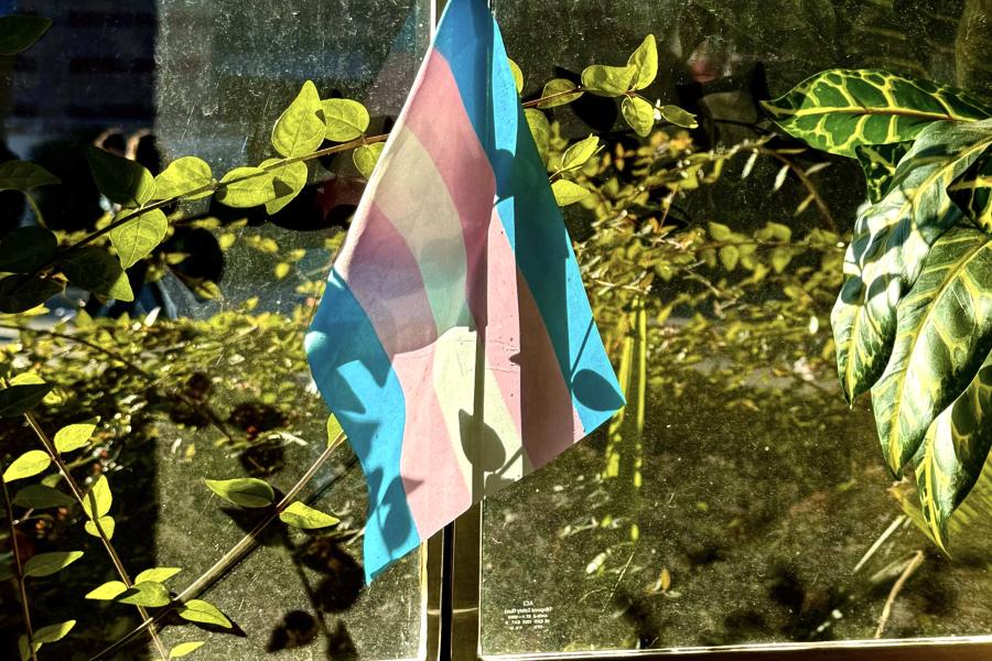 trans-flag-cropped